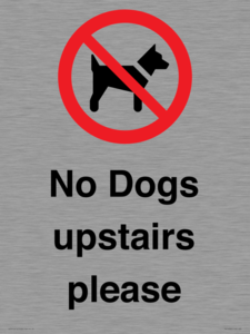 No Dogs upstairs please 